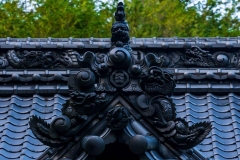 DSC09996