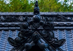 DSC09996
