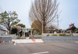 SBJ04696