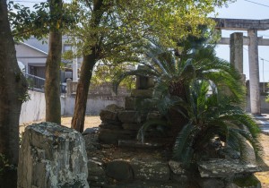 SBJ01759