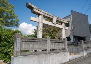 SBJ01769