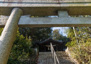 SBJ05892