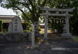 DSC08353