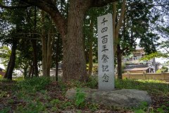 DSC08370