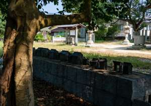 DSC08373
