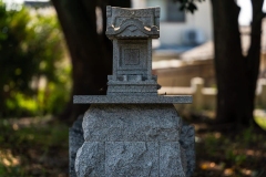 DSC08380