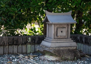 DSC08390