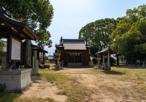 DSC08405