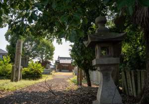 DSC08409