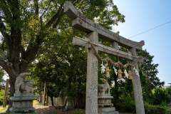 DSC08421