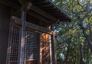 DSC00089