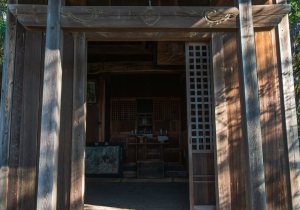 DSC00091