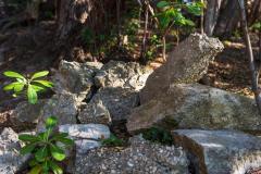 DSC00118