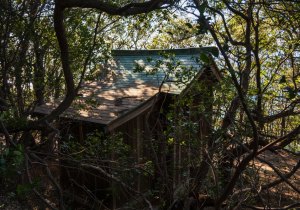 DSC00126