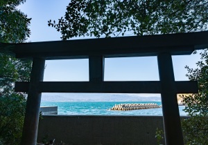 DSC00153