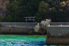 DSC00241