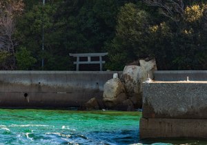 DSC00241