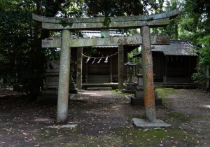 DSC01601