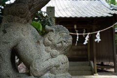 DSC01603