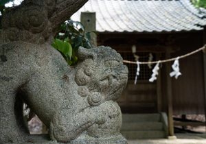 DSC01603
