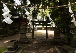 DSC01615-2