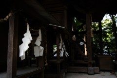 DSC01645
