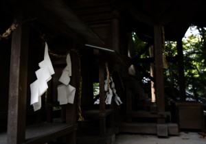 DSC01645