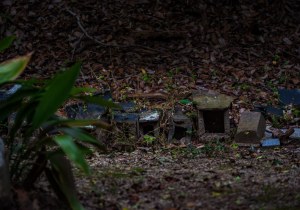 DSC00335