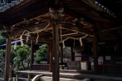 DSC00343