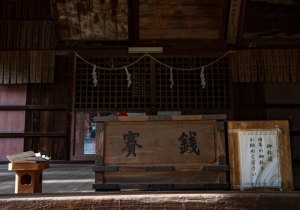 DSC00346