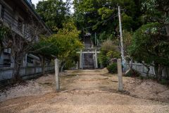 DSC00355