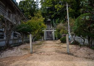 DSC00355