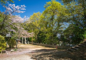 SBJ06834
