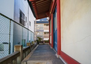 SBJ07977