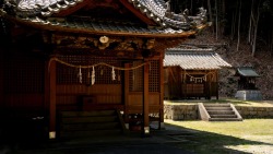 DSC09588-2