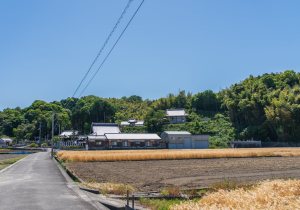 SBJ09496