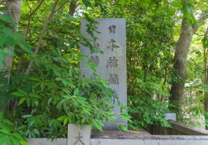 SBJ01447