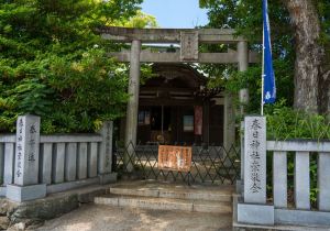 SBJ01484