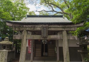 SBJ01515