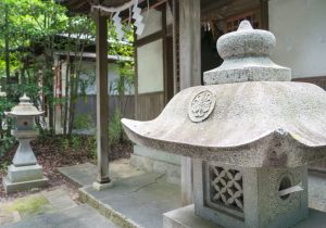 SBJ01516