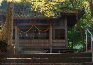 SBJ03457