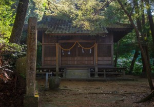 SBJ03492