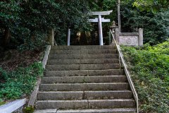 DSC07702