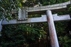 DSC07706