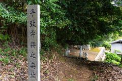 DSC07707
