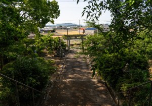 DSC04805