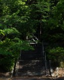 DSC04818