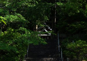 DSC04818