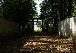 DSC04837