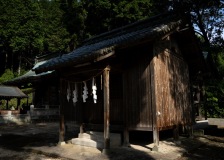 DSC04856